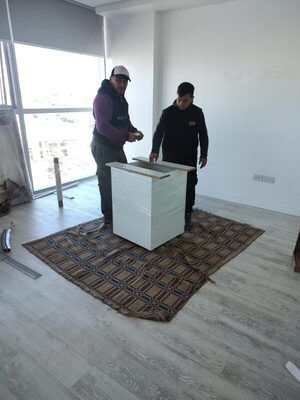 Operarios armando un mueble en el departamento de destino